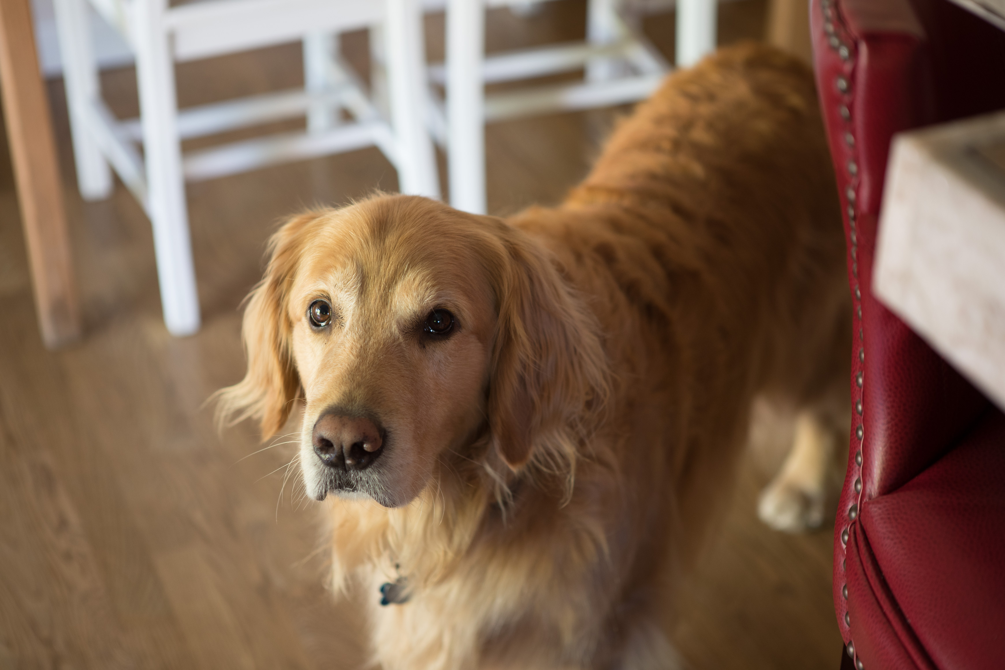 Canon Canon EOS-1D X Mark II EF24-70mm f/2.8L USM 70 mm 1/13 sec at f / 2.8 ISO 400