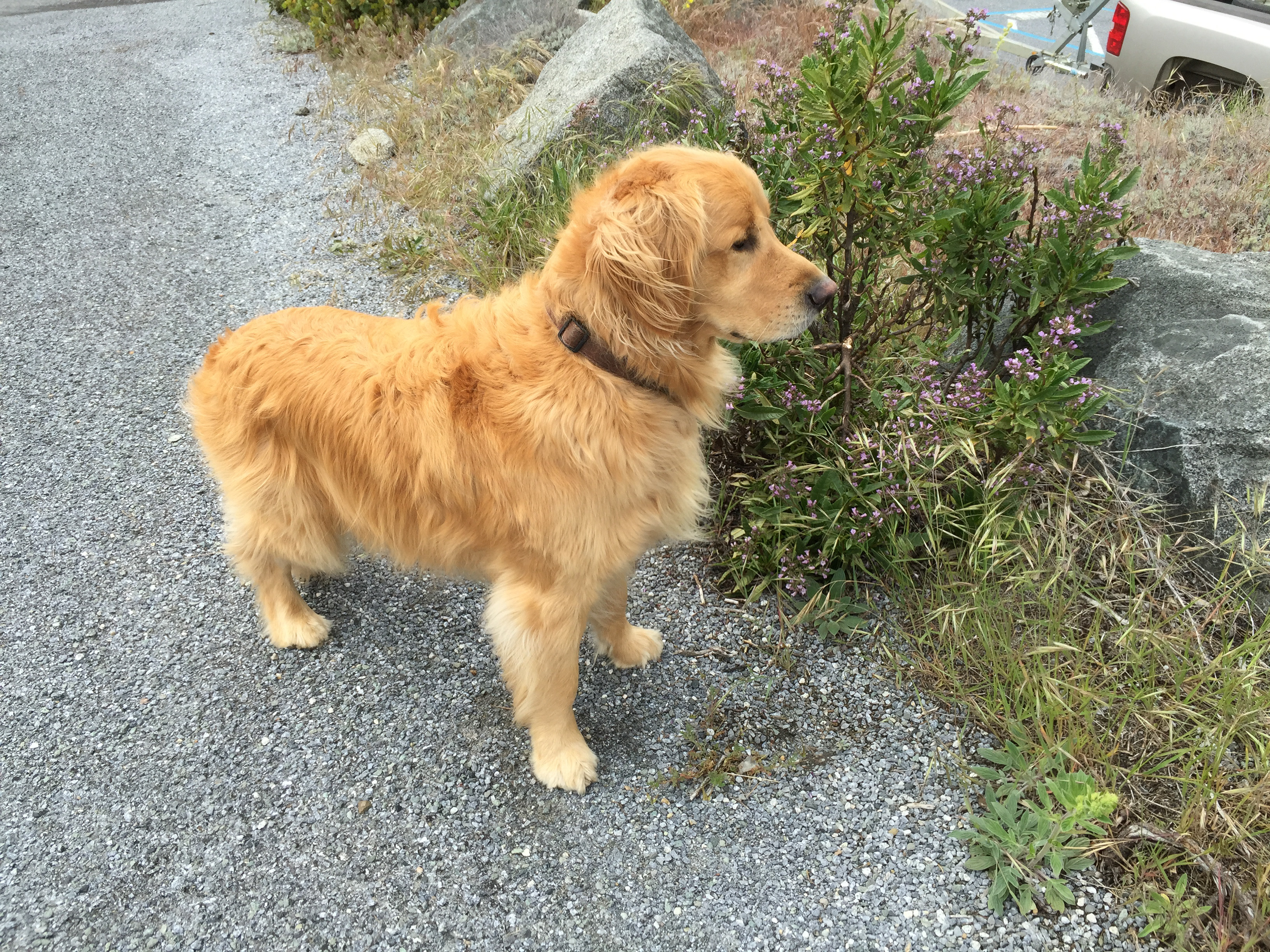 Apple iPhone 6 Plus iPhone 6 Plus back camera 4.15mm f/2.2 1/540 sec at f / 2.2 ISO 32