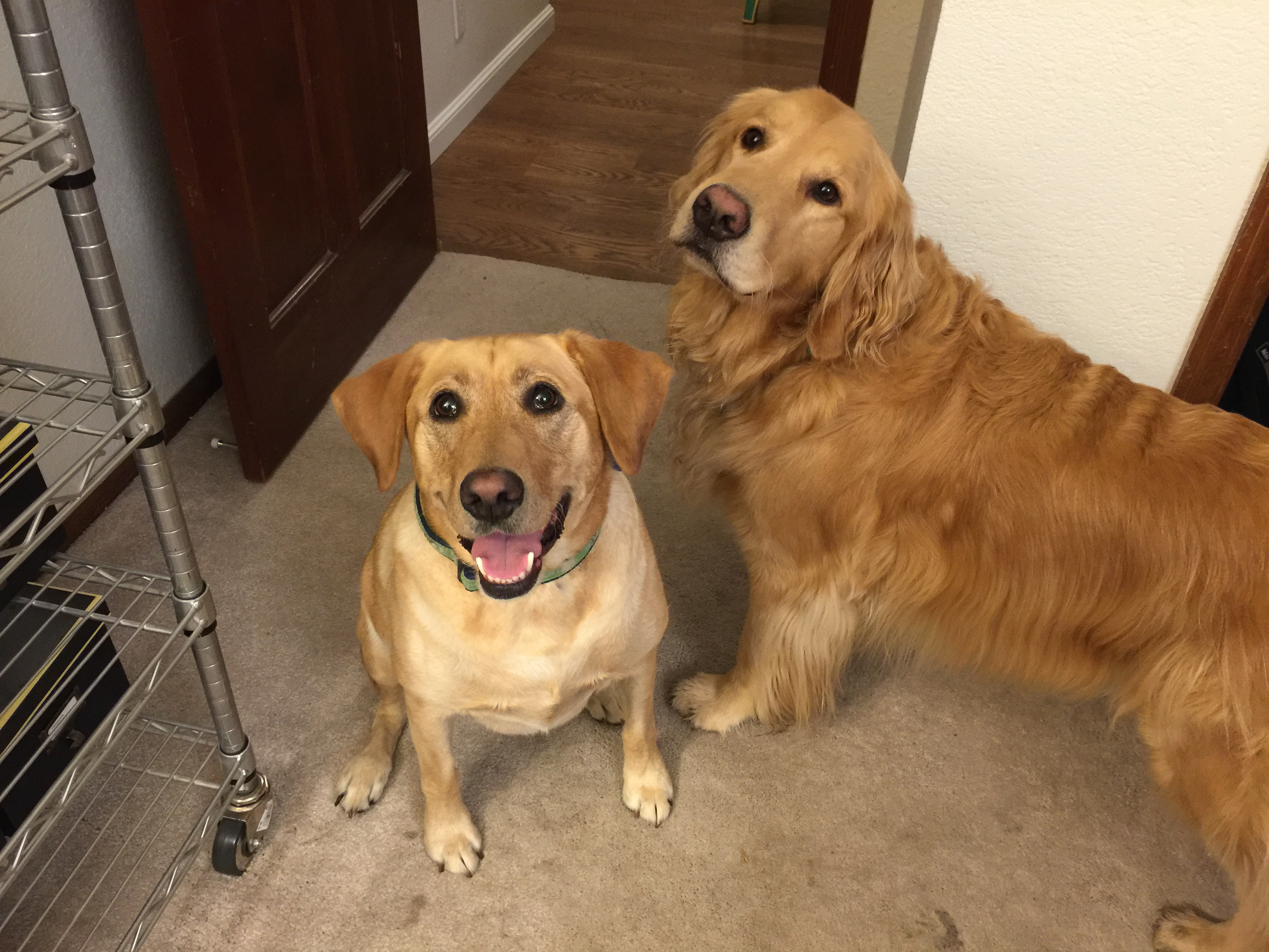 iPhone 6 Plus back camera 4.15mm f/2.2 1/8 sec at f / 2.2 ISO 125