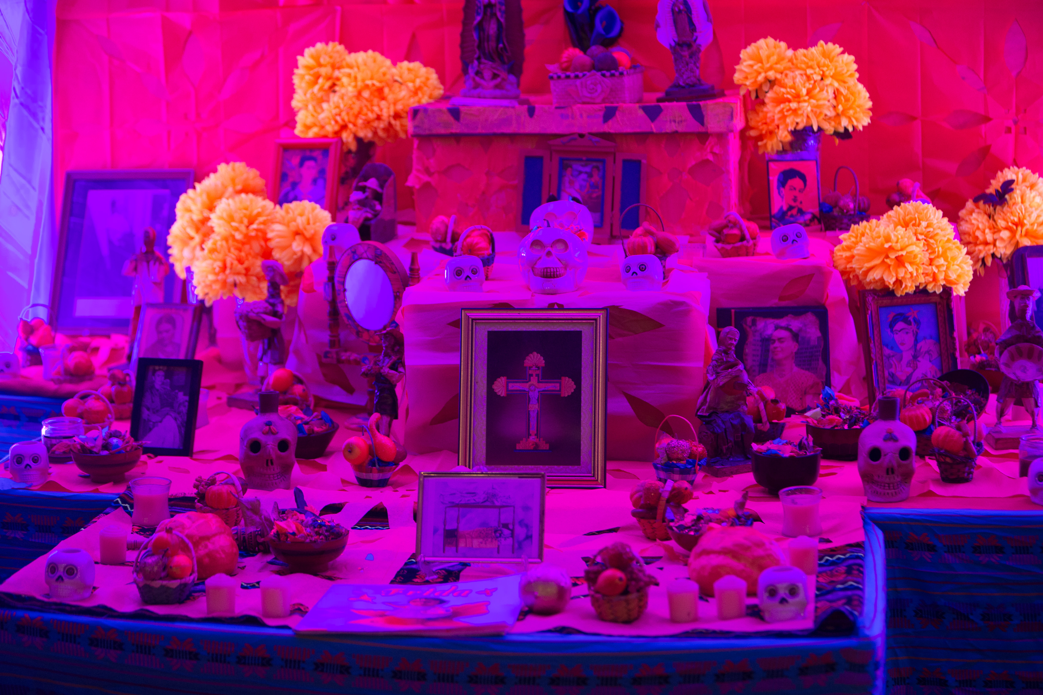 Canon Canon EOS-1D X EF70-200mm f/2.8L IS USM 73 mm 1/60 sec at f / 2.8 ISO 2000