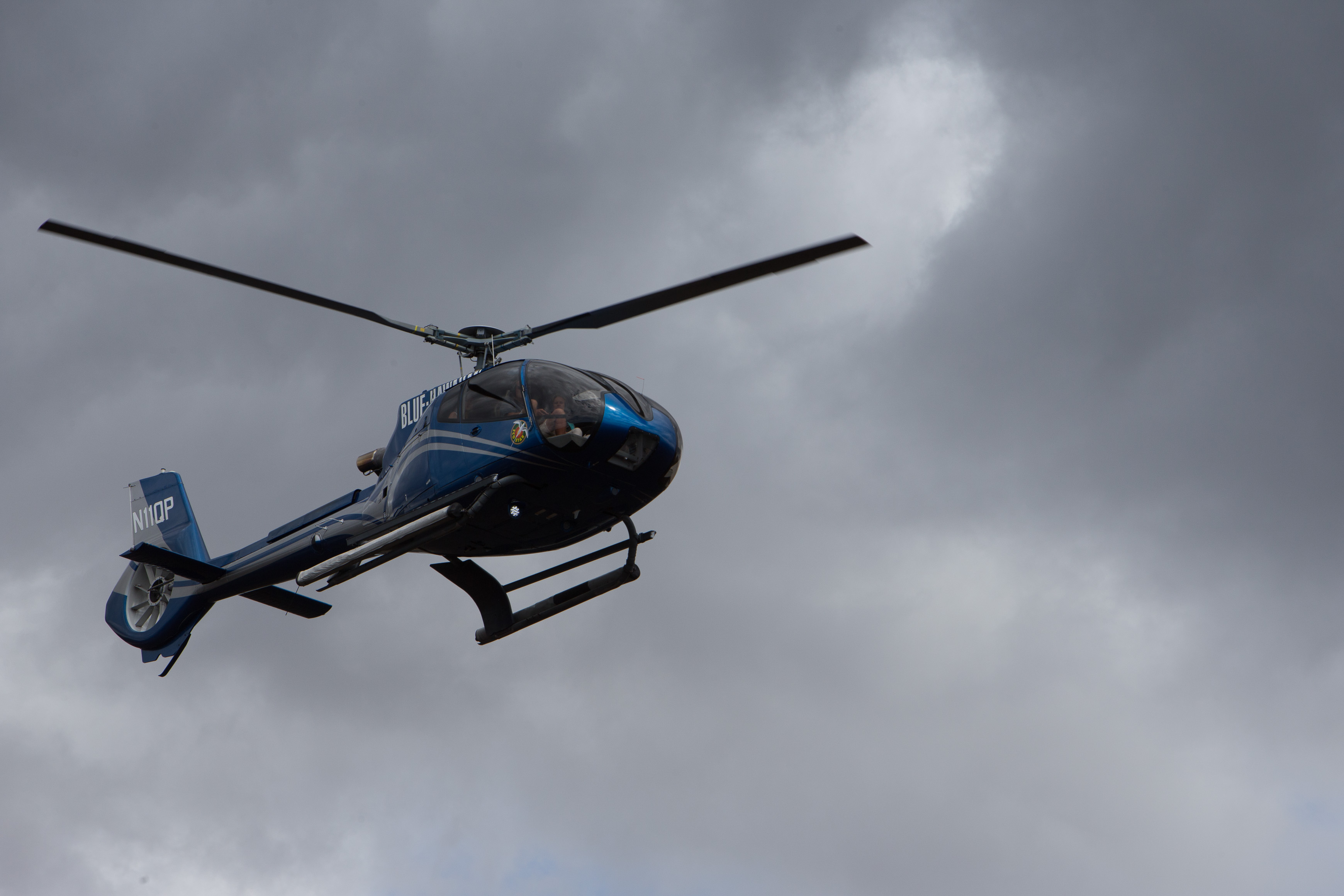 Canon Canon EOS-1D X EF70-200mm f/2.8L IS USM 200 mm 1/1600 sec at f / 8.0 ISO 400