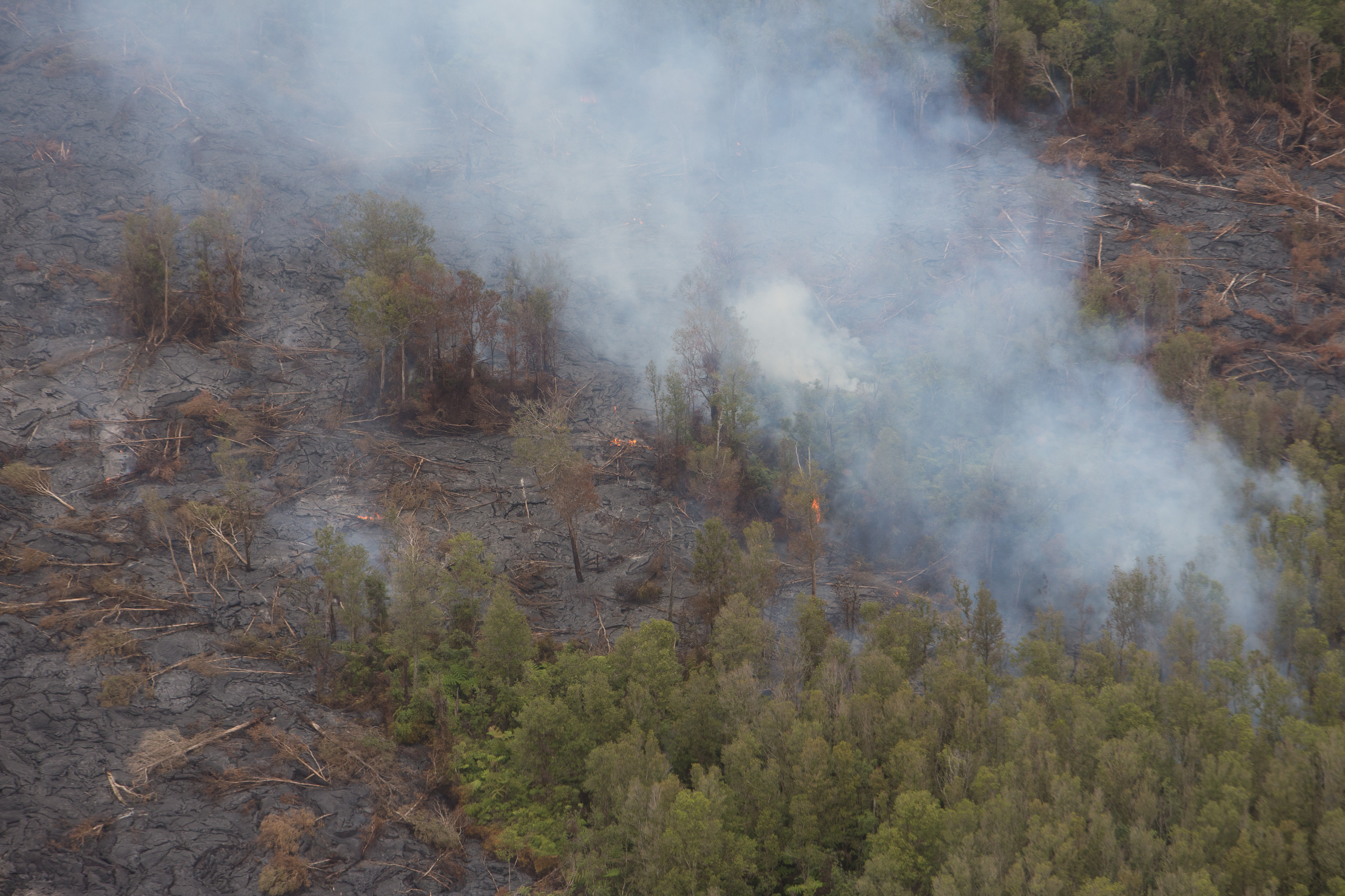 Canon Canon EOS-1D X EF70-200mm f/2.8L IS USM 200 mm 1/1000 sec at f / 6.3 ISO 800