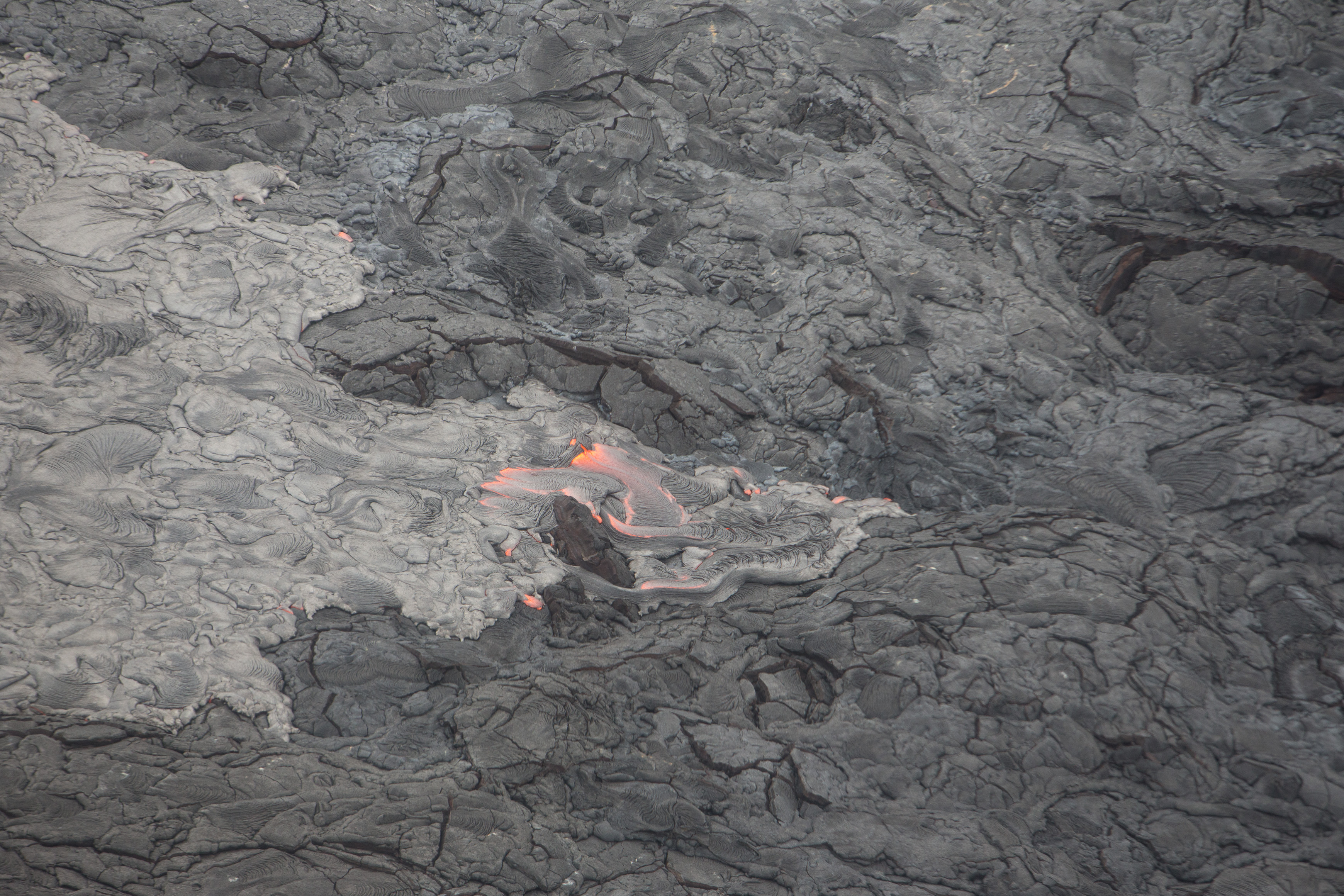 Canon Canon EOS-1D X EF70-200mm f/2.8L IS USM 200 mm 1/500 sec at f / 5.0 ISO 800