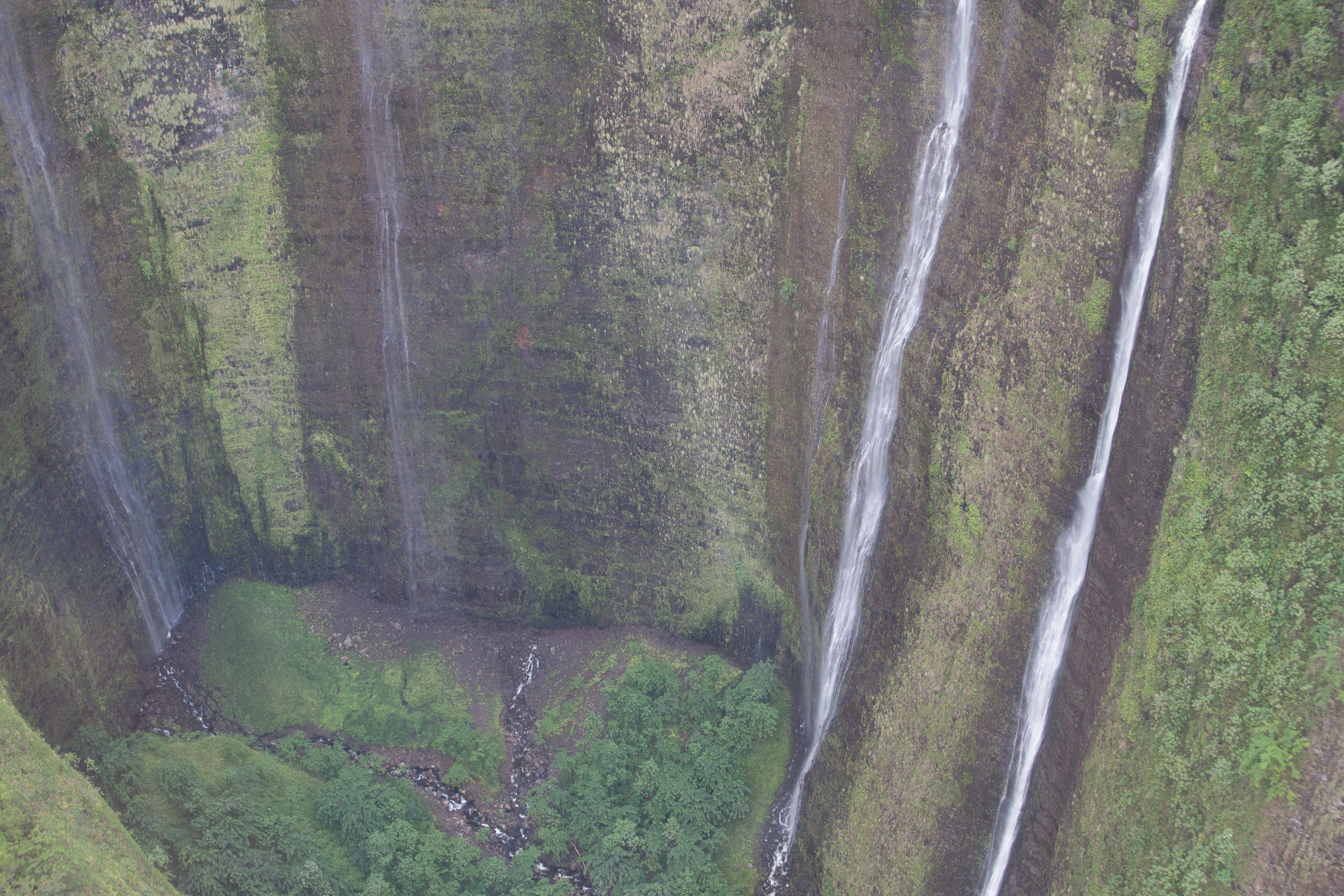 Canon Canon EOS-1D X EF70-200mm f/2.8L IS USM 70 mm 1/200 sec at f / 5.0 ISO 800