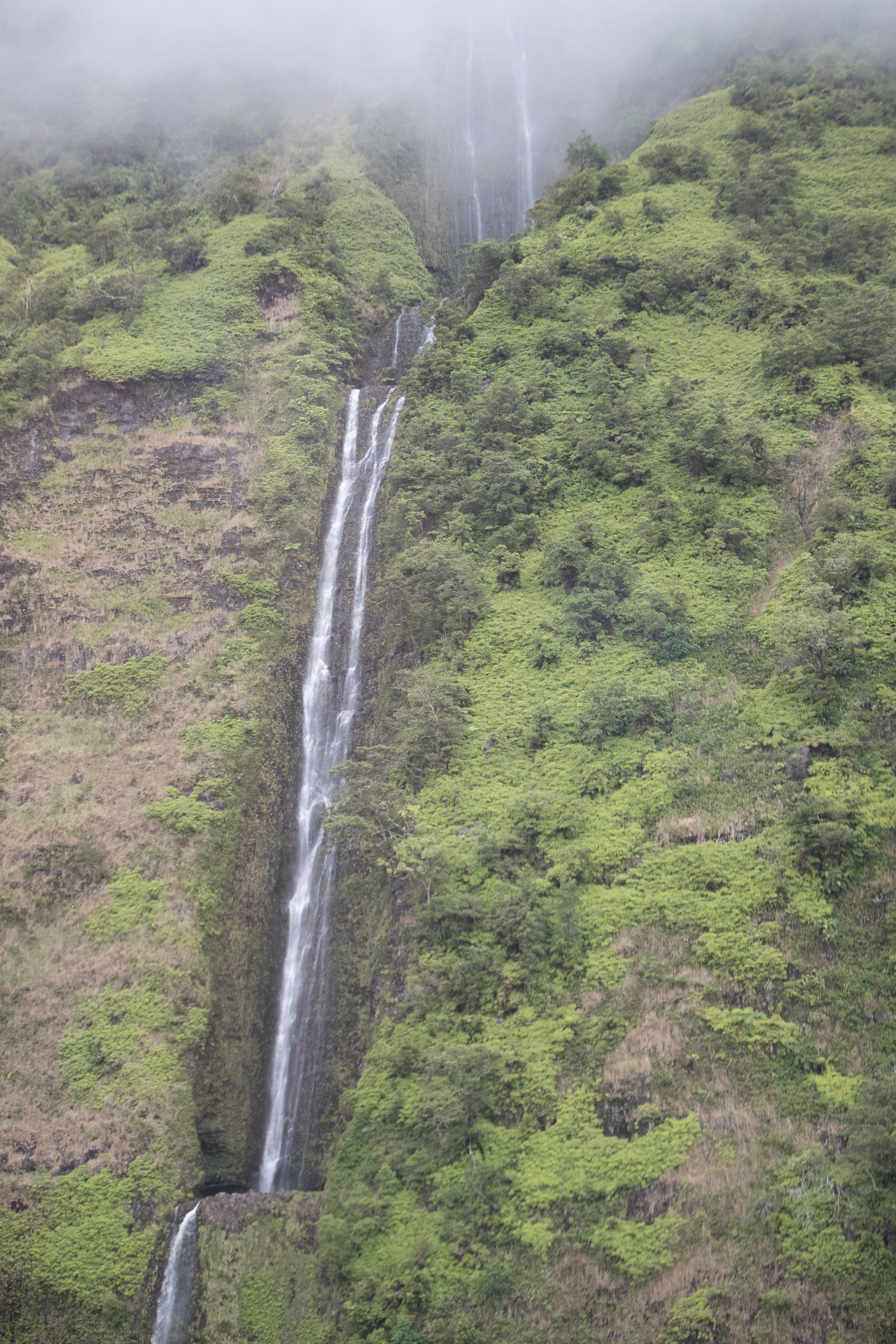 Canon Canon EOS-1D X Mark II EF70-200mm f/2.8L IS USM 70 mm 1/2500 sec at f / 2.8 ISO 2000