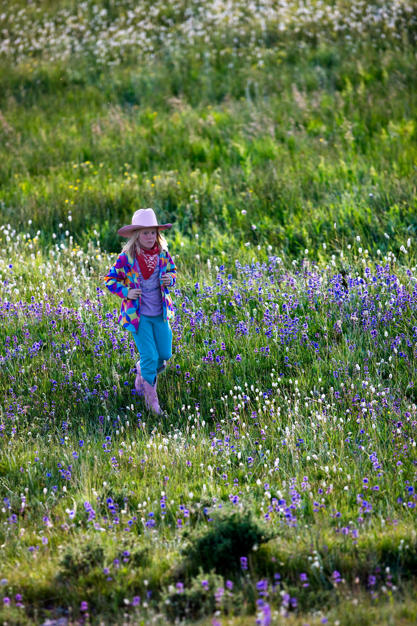 1/500 sec at f / 3.5