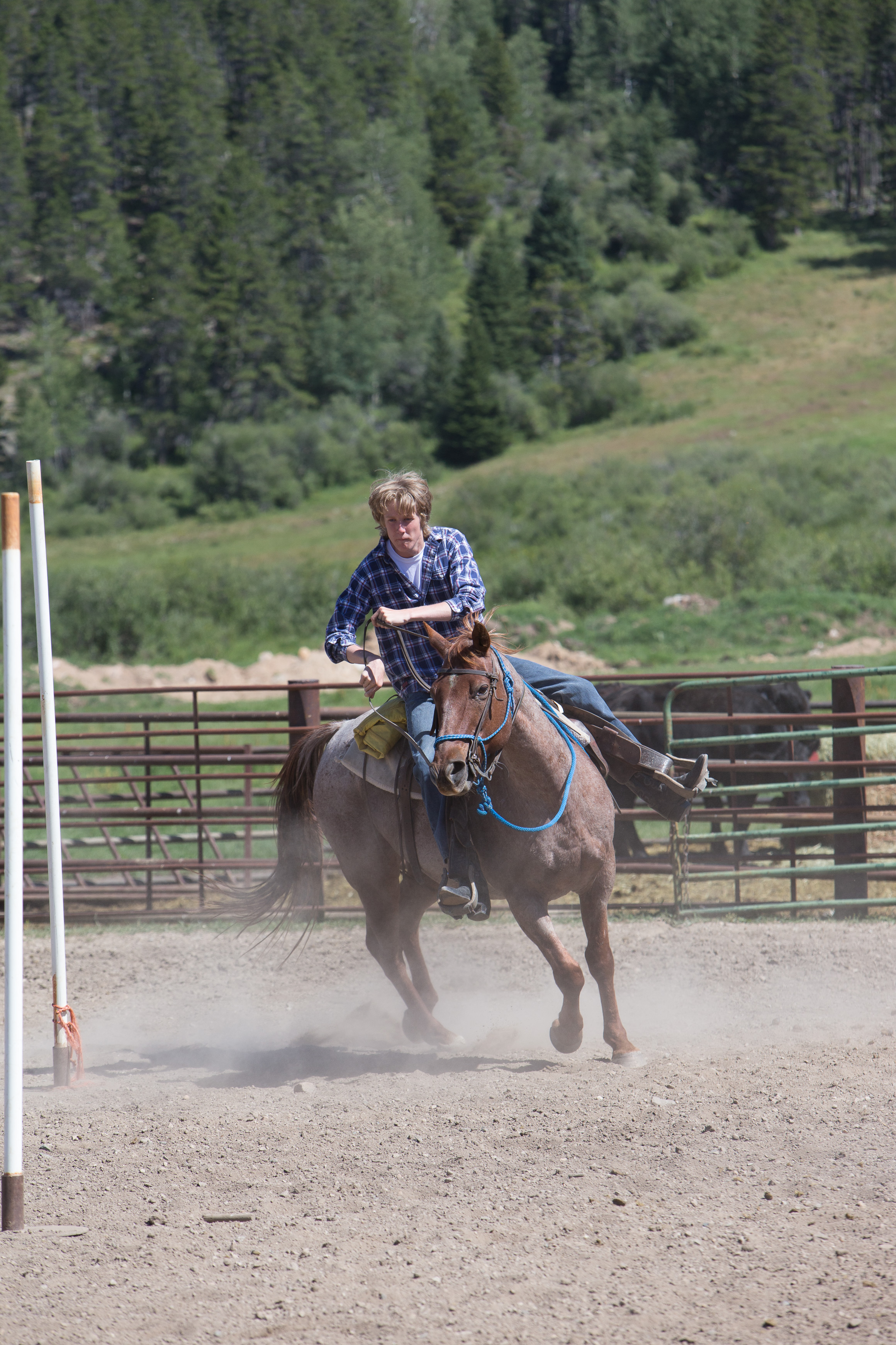 Canon Canon EOS-1D X EF70-200mm f/2.8L IS USM 200 mm 1/1000 sec at f / 7.1 ISO 400