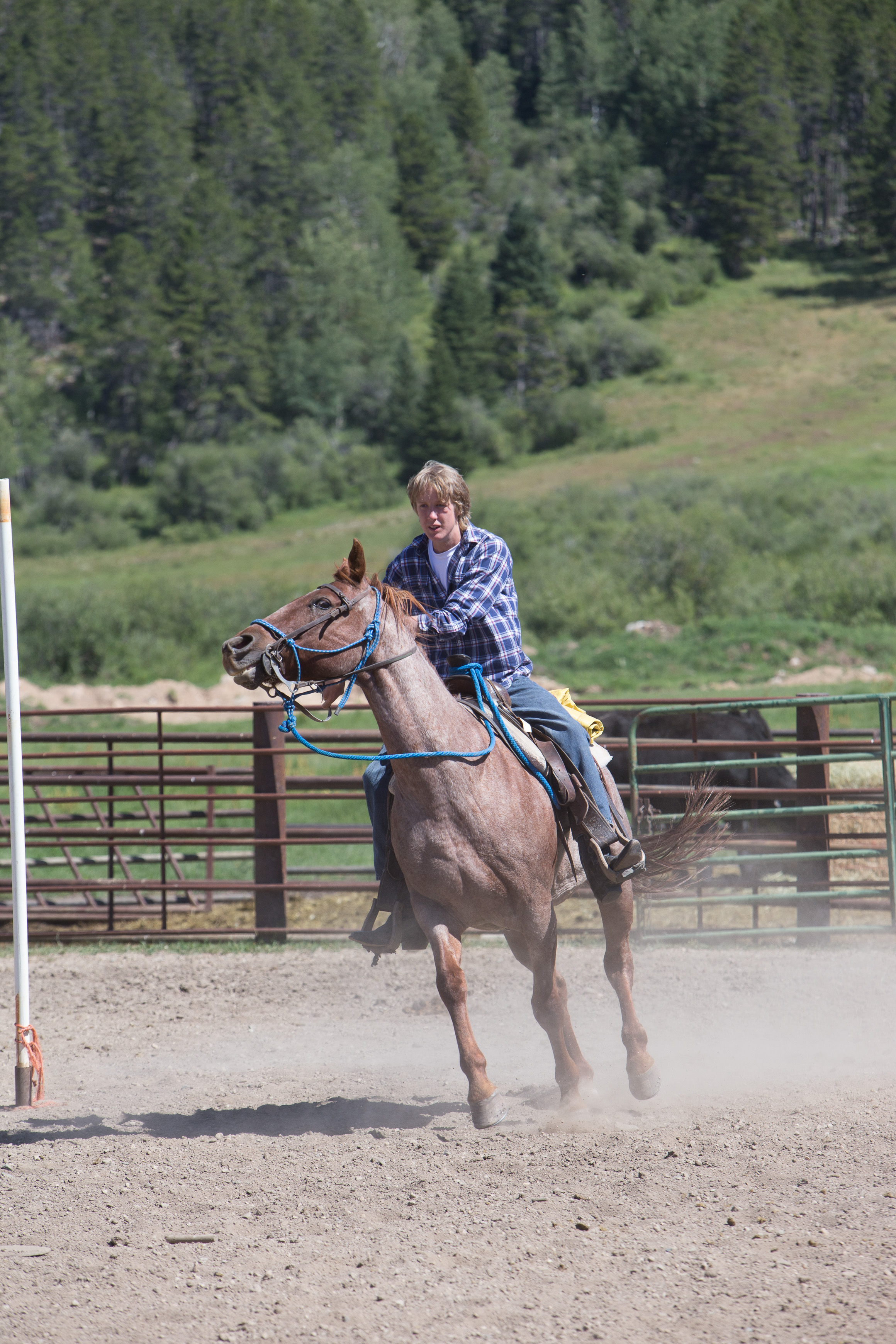 Canon Canon EOS-1D X EF70-200mm f/2.8L IS USM 200 mm 1/1000 sec at f / 6.3 ISO 400