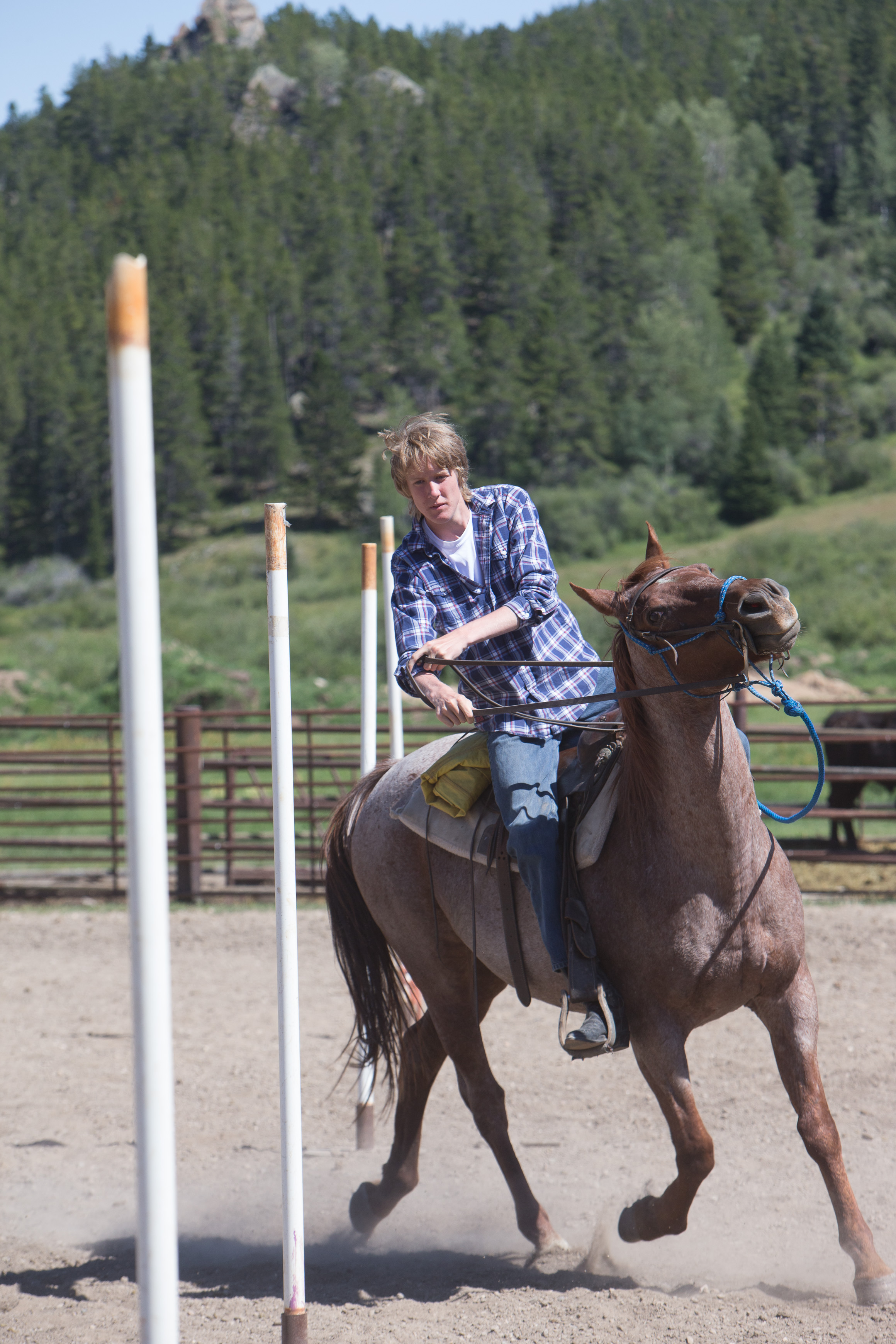 Canon Canon EOS-1D X EF70-200mm f/2.8L IS USM 155 mm 1/800 sec at f / 7.1 ISO 400