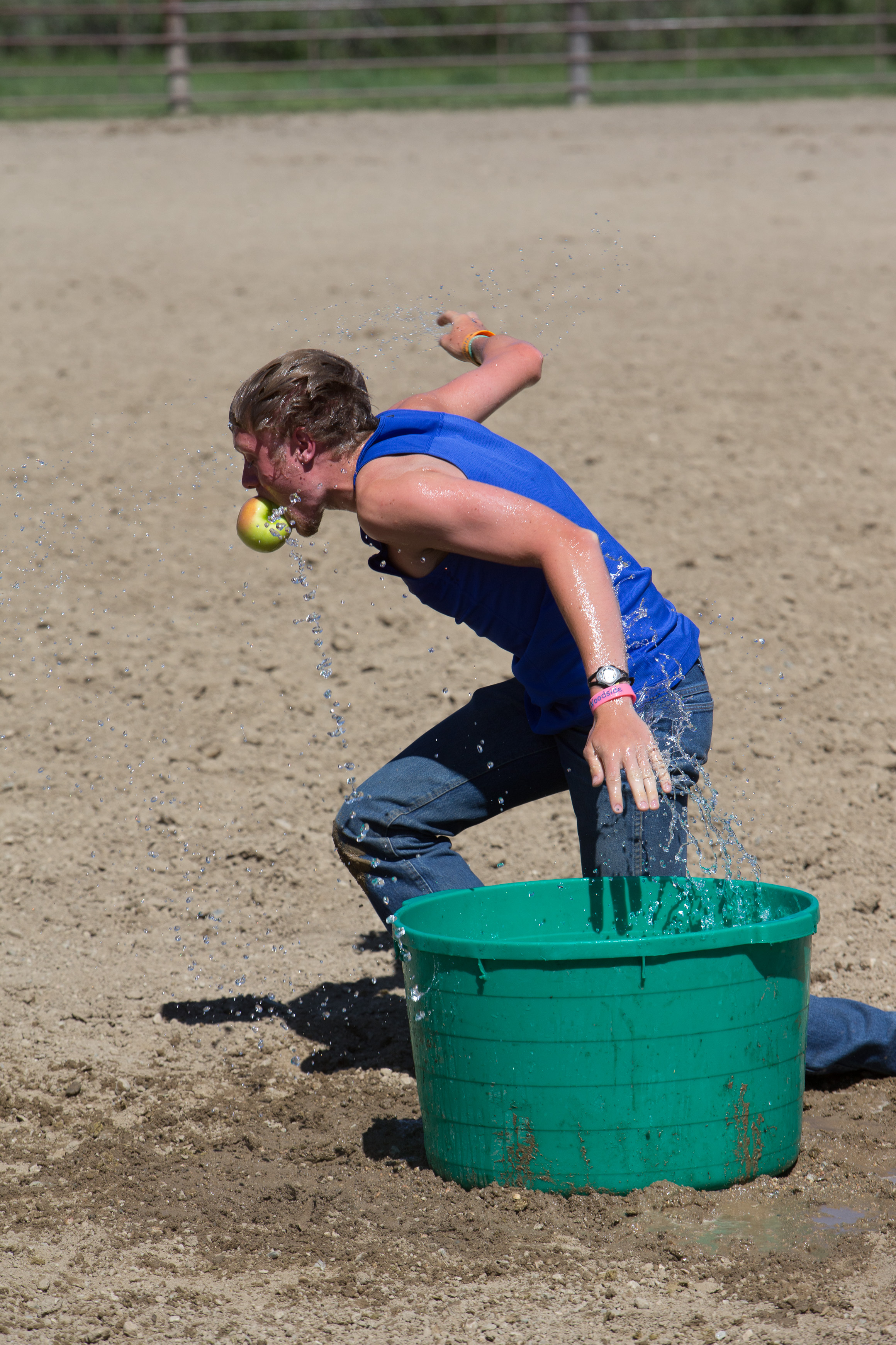 Canon Canon EOS-1D X EF70-200mm f/2.8L IS USM 200 mm 1/1250 sec at f / 8.0 ISO 400