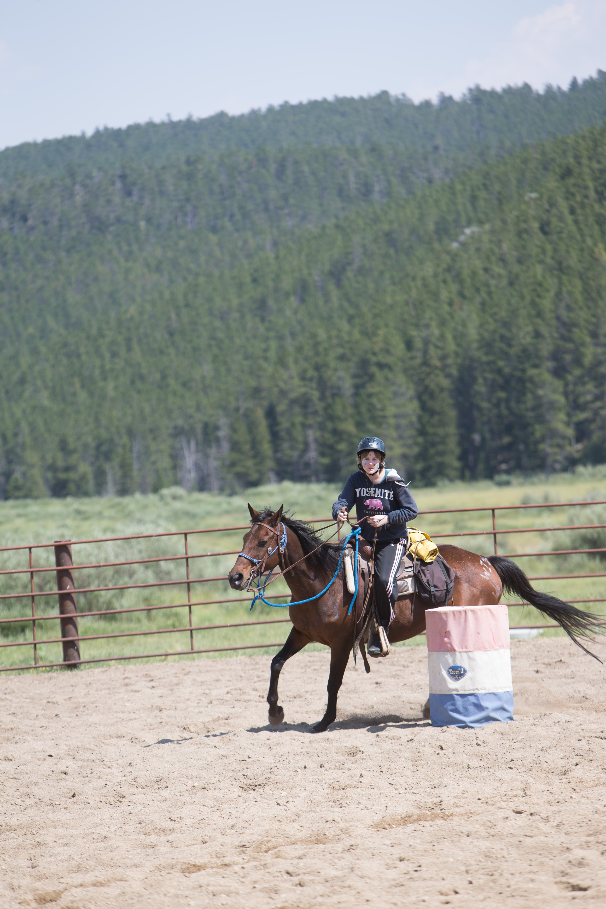 Canon Canon EOS-1D X EF70-200mm f/2.8L IS USM 200 mm 1/400 sec at f / 4.5 ISO 100