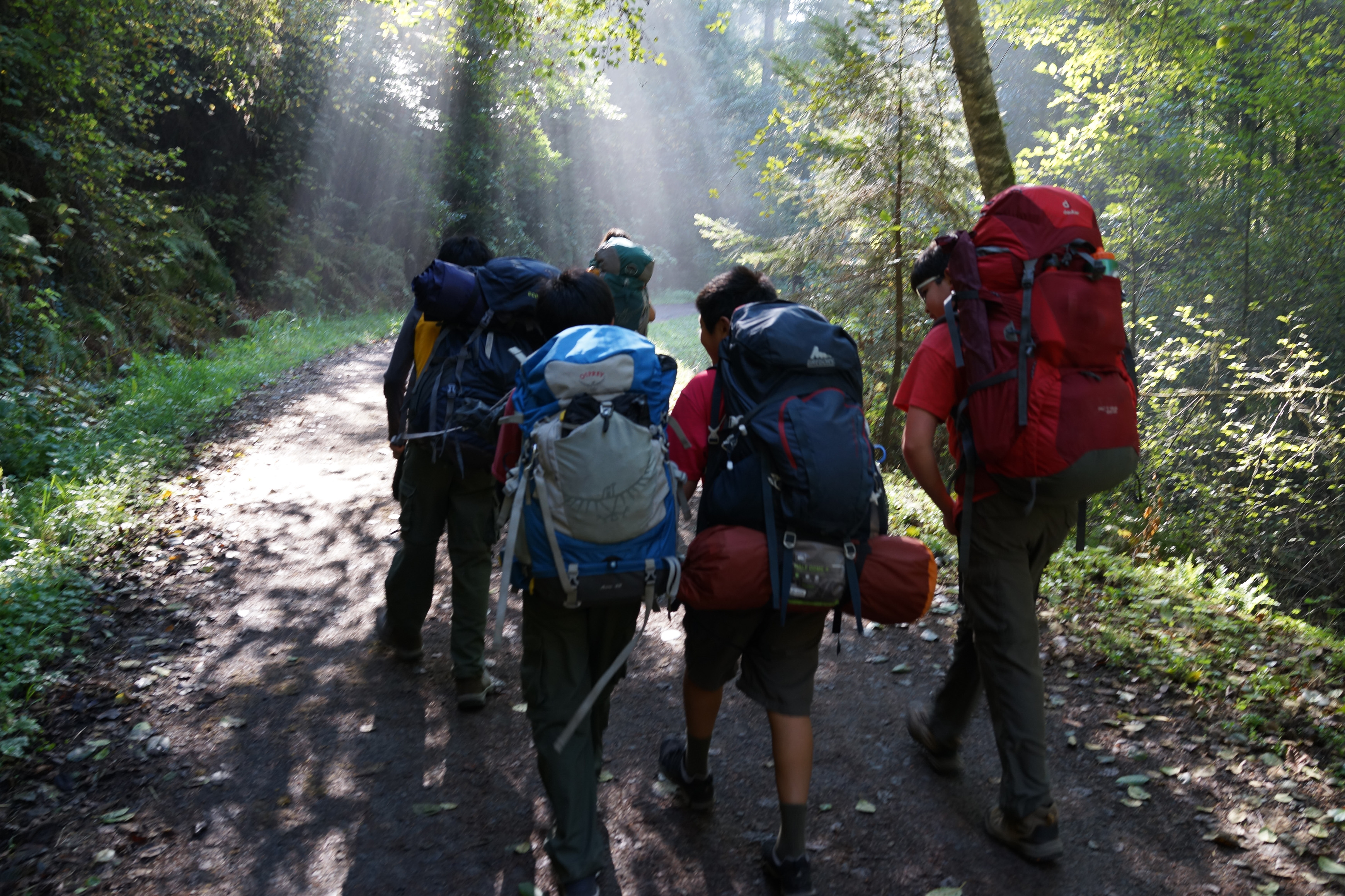 SONY DSC-RX1 35.0 mm f/2.0 35 mm 1/80 sec at f / 5.6 ISO 500