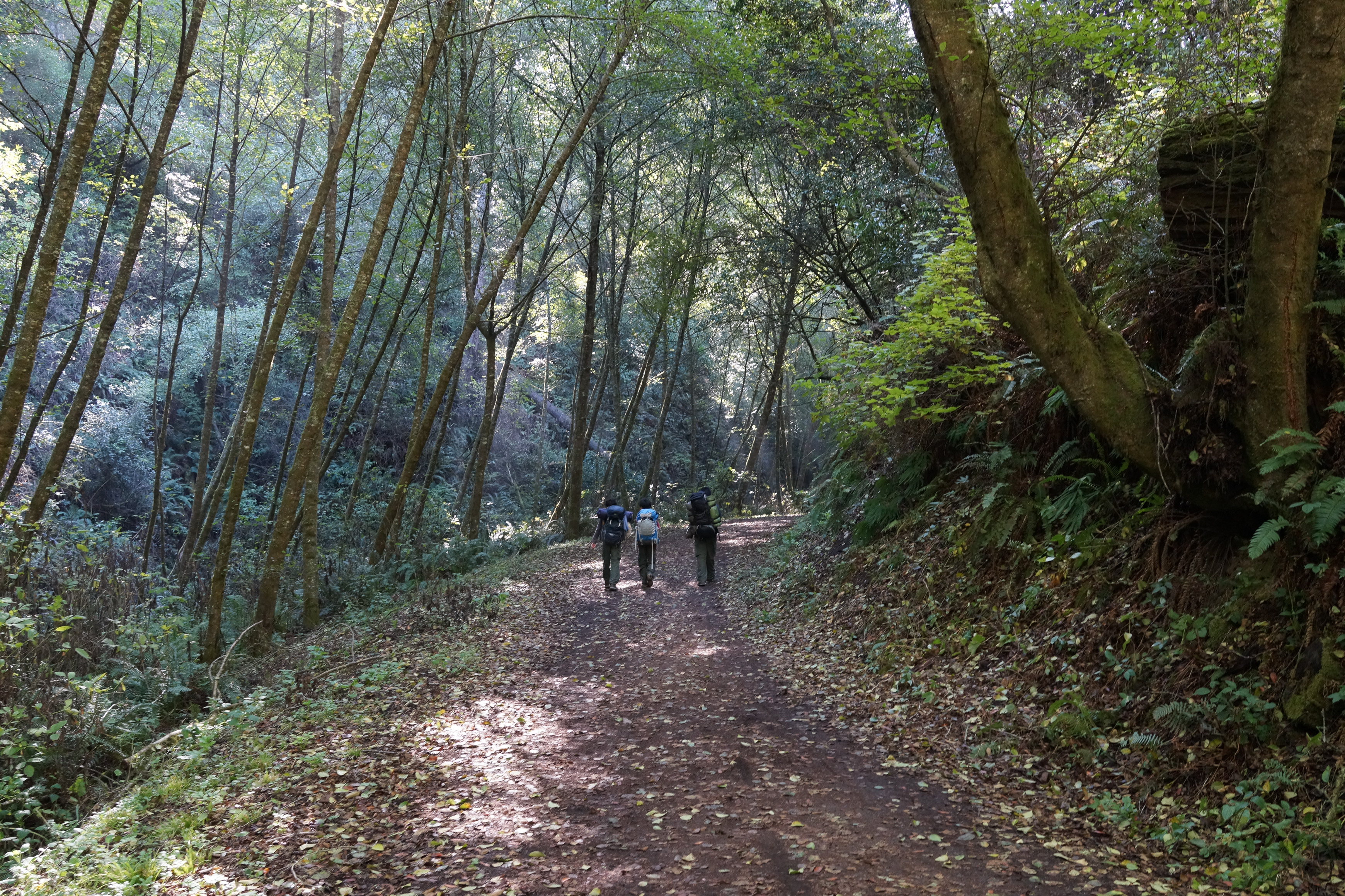 SONY DSC-RX1 35.0 mm f/2.0 35 mm 1/80 sec at f / 5.6 ISO 1600