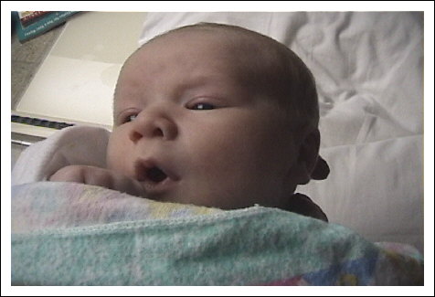 WonderingAboutTheWorld