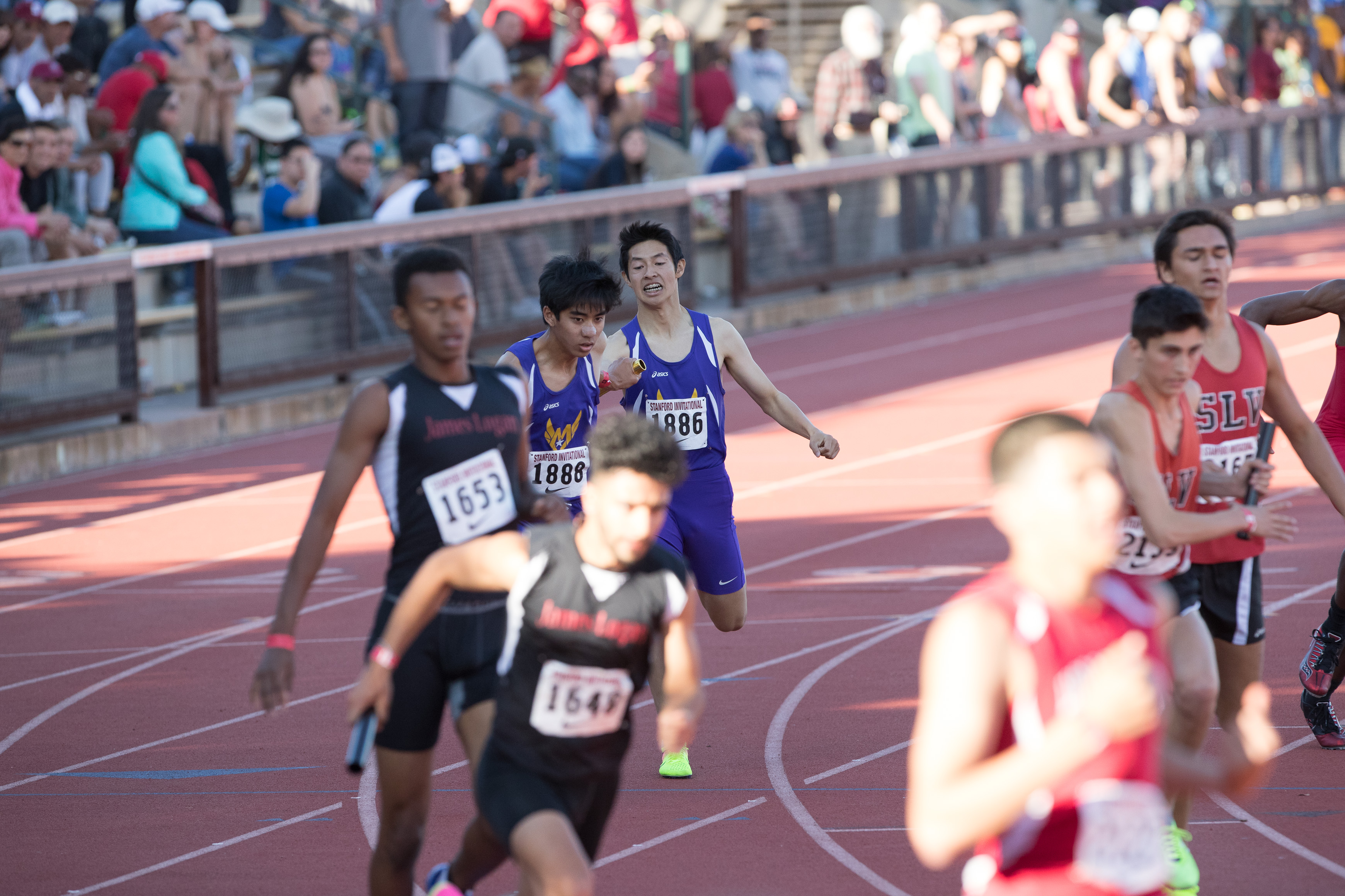 Canon Canon EOS-1D X Mark II EF300mm f/2.8L IS USM 300 mm 1/2000 sec at f / 4.5 ISO 1600