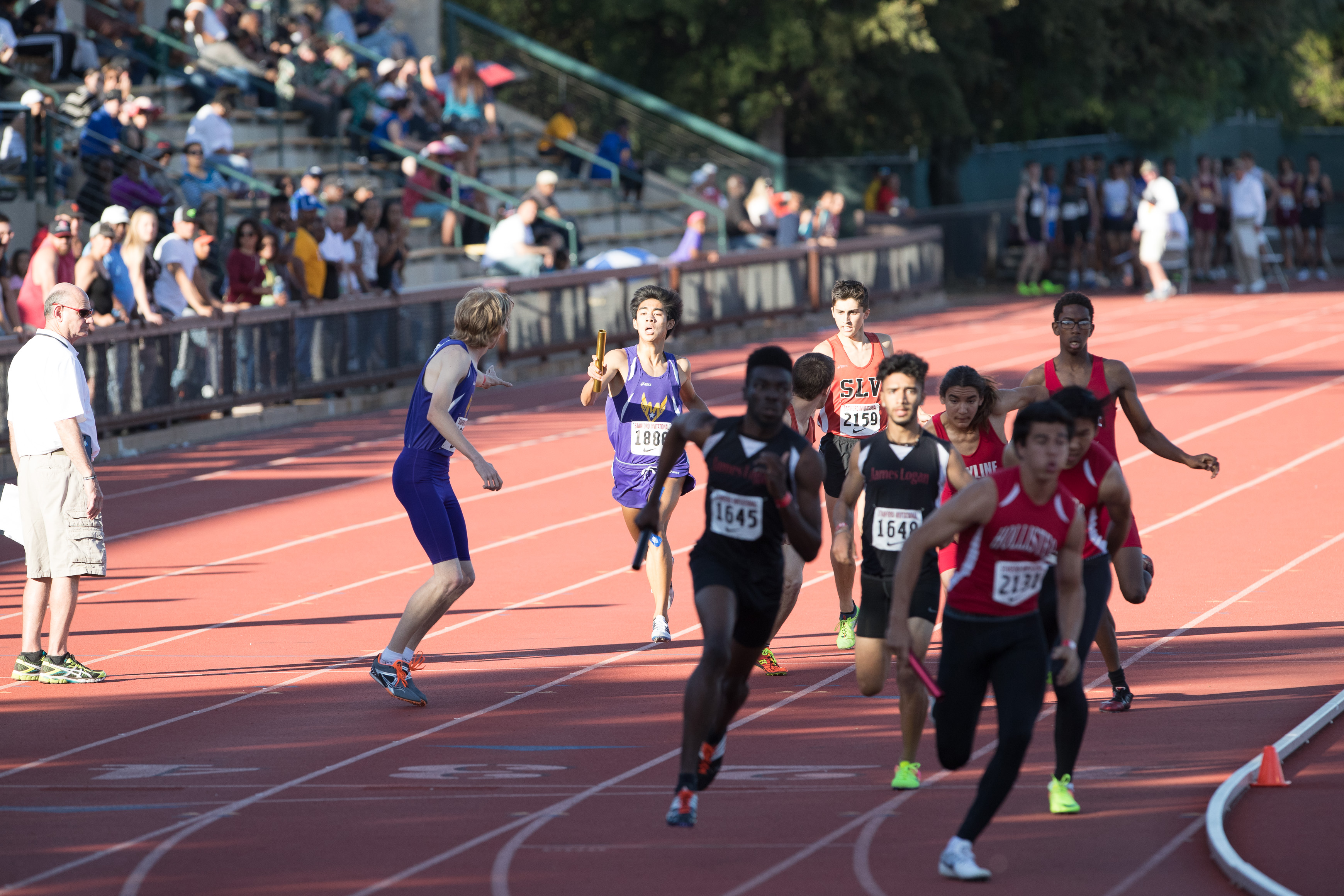 Canon Canon EOS-1D X Mark II EF300mm f/2.8L IS USM 300 mm 1/2000 sec at f / 4.5 ISO 800