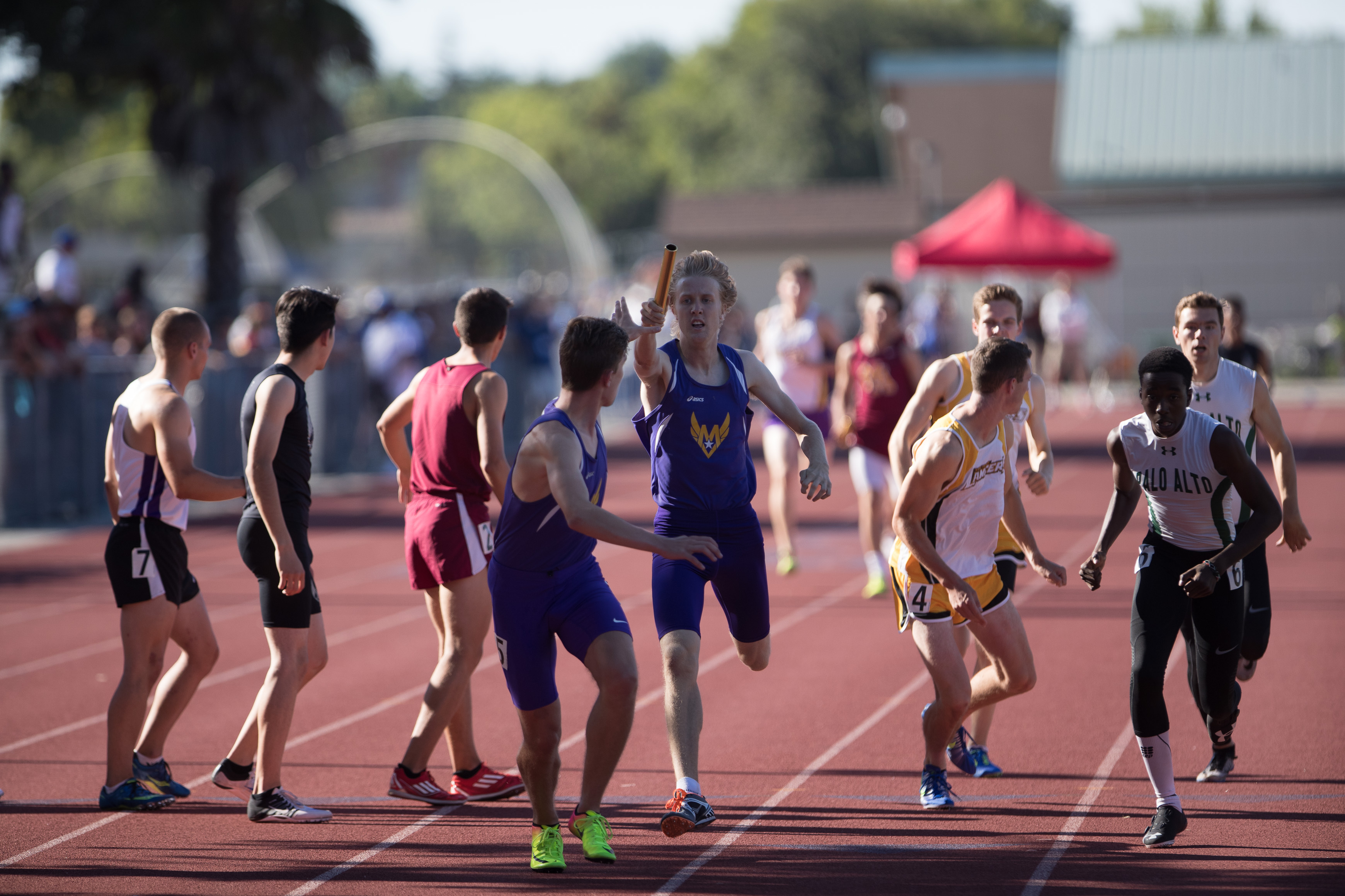 Canon Canon EOS-1D X Mark II EF300mm f/2.8L IS USM 300 mm 1/2500 sec at f / 2.8 ISO 320