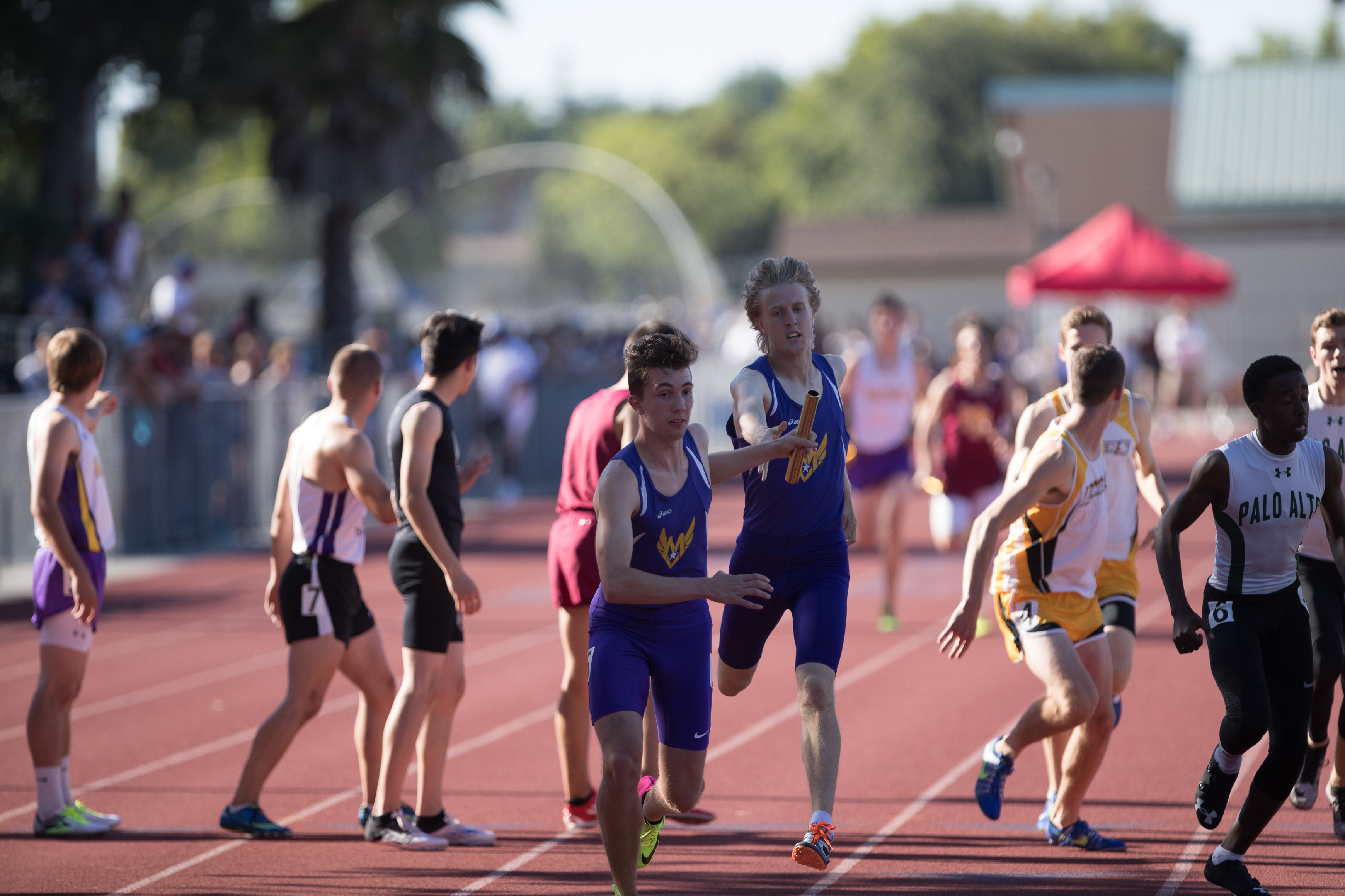 Canon Canon EOS-1D X Mark II EF300mm f/2.8L IS USM 300 mm 1/2500 sec at f / 2.8 ISO 320