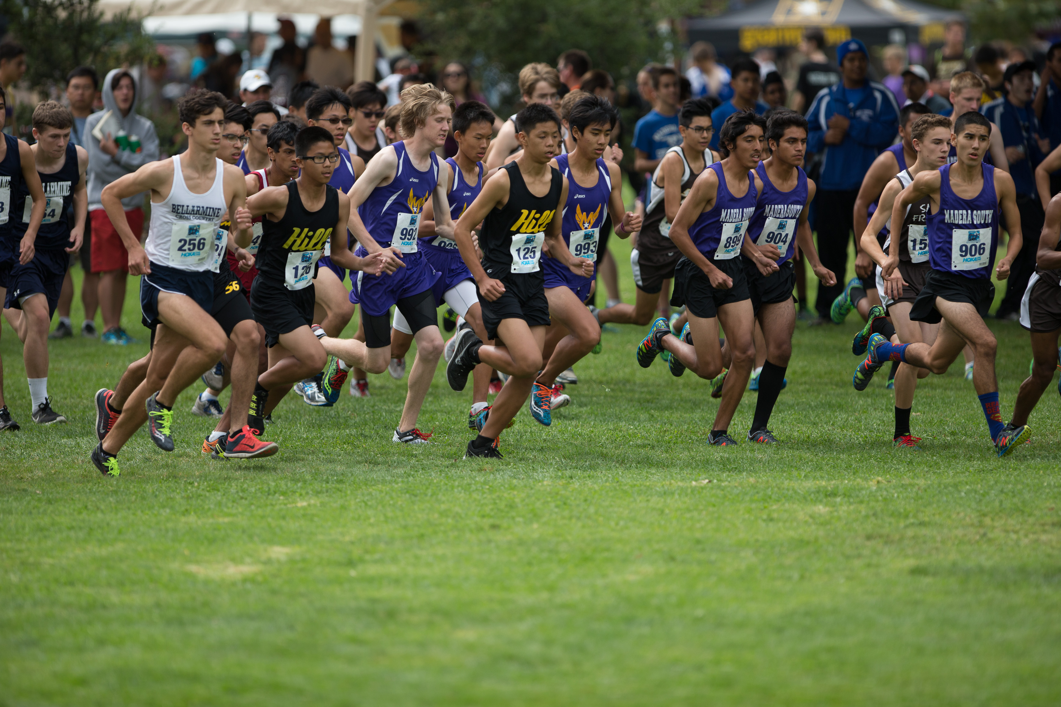 Canon Canon EOS-1D X EF300mm f/2.8L IS USM 300 mm 1/2000 sec at f / 2.8 ISO 250