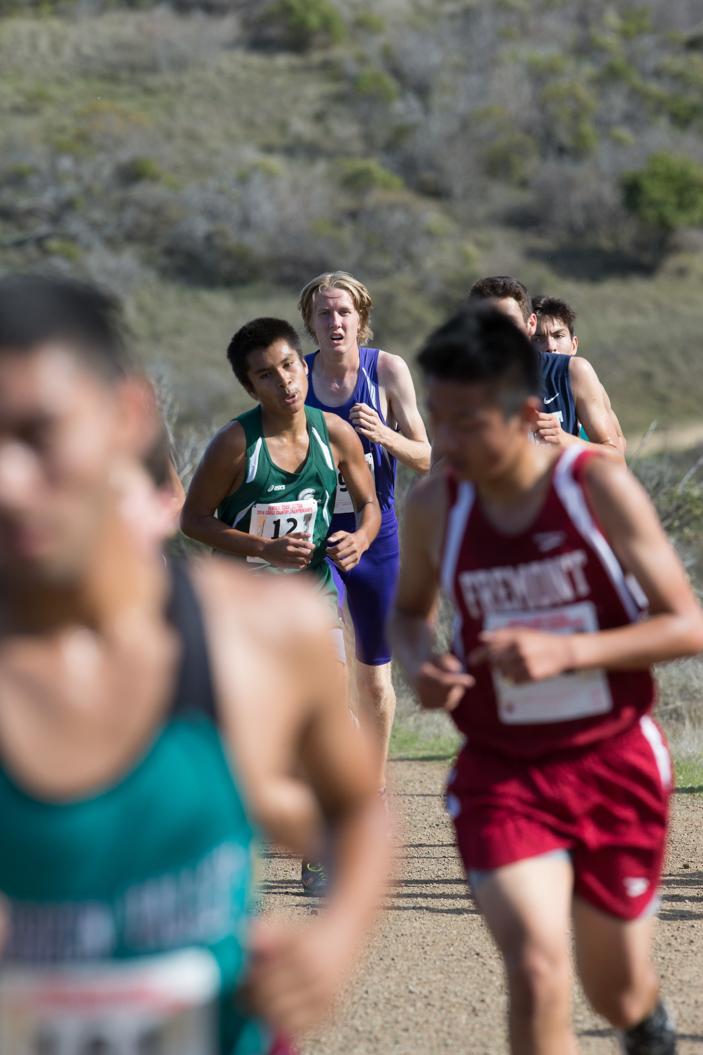 Canon Canon EOS-1D X EF300mm f/2.8L IS USM 300 mm 1/2000 sec at f / 7.1 ISO 800