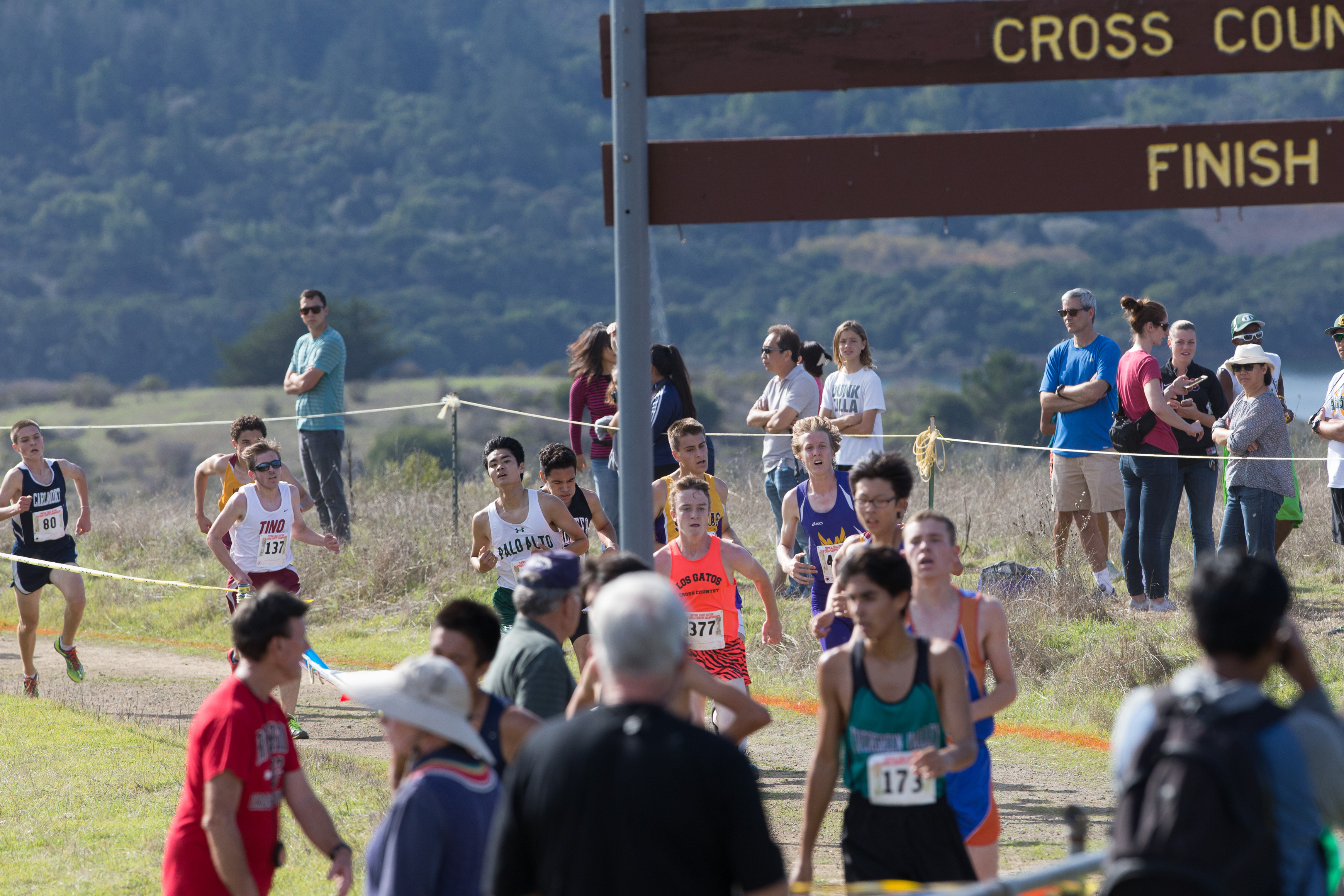 Canon Canon EOS-1D X EF300mm f/2.8L IS USM 300 mm 1/1600 sec at f / 7.1 ISO 800