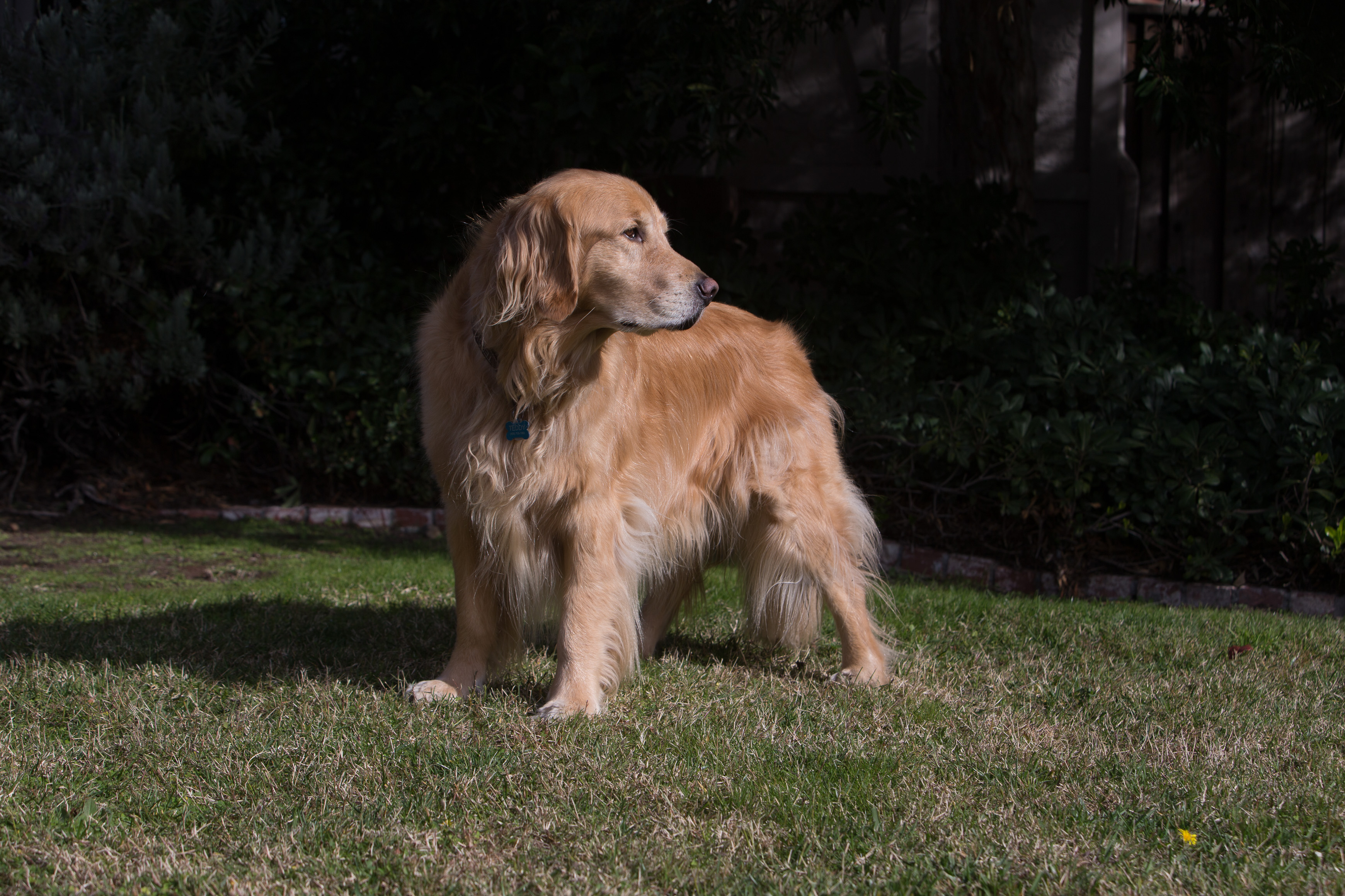 Canon Canon EOS-1D X EF70-200mm f/2.8L IS USM 70 mm 1/400 sec at f / 6.3 ISO 100