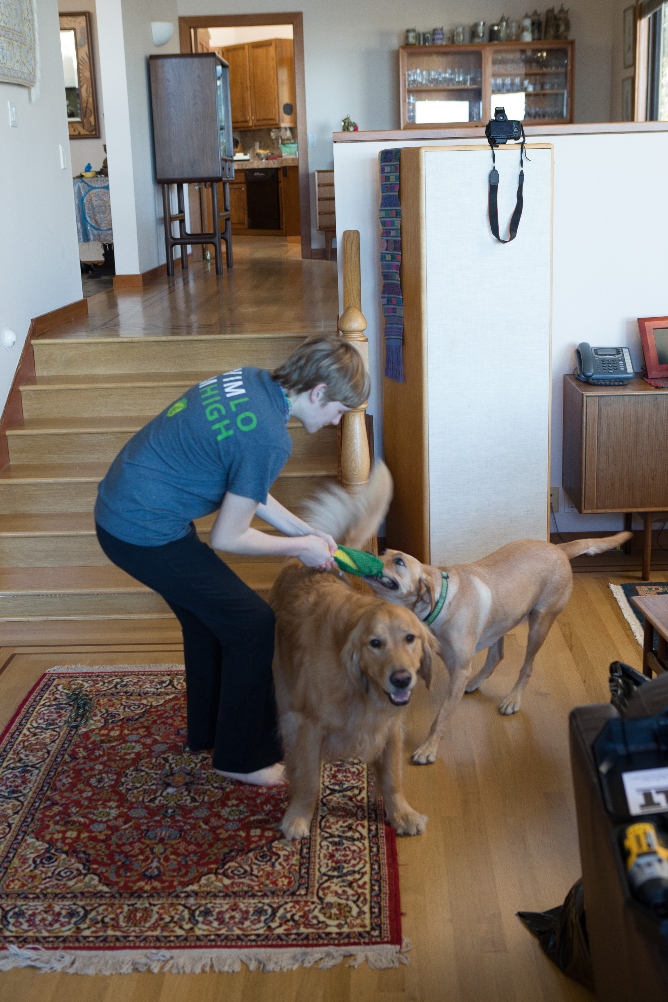 Canon Canon EOS-1D X EF24-70mm f/2.8L USM 45 mm 1/100 sec at f / 4.5 ISO 1600