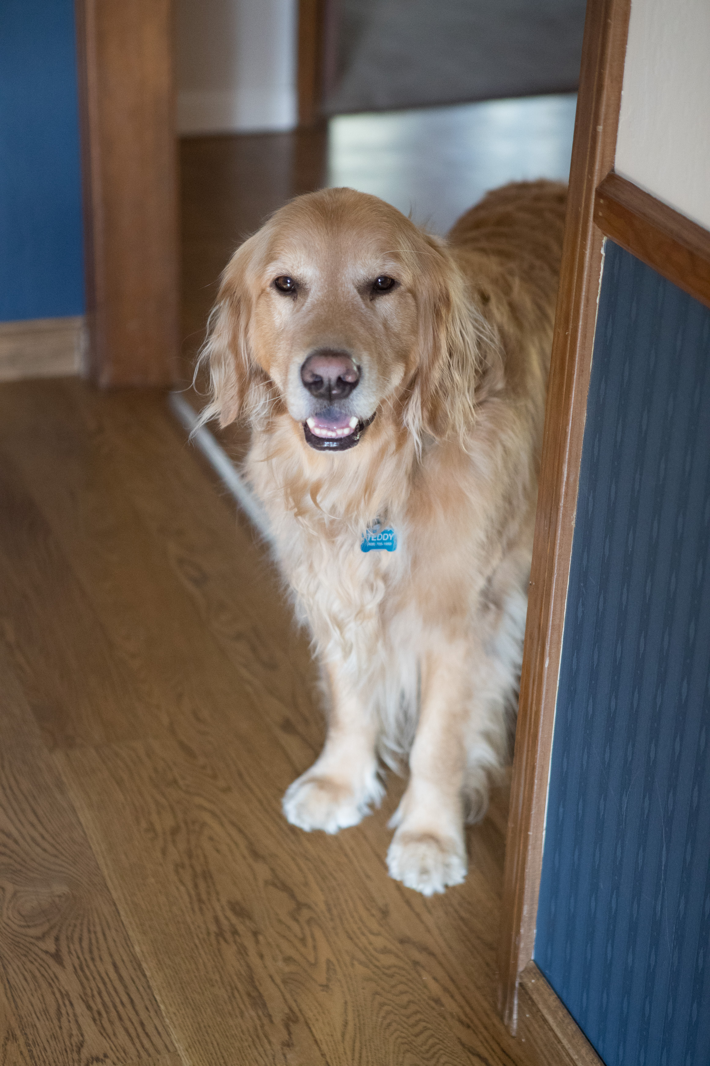 Canon Canon EOS-1D X Mark II EF24-70mm f/2.8L USM 70 mm 1/60 sec at f / 2.8 ISO 4000